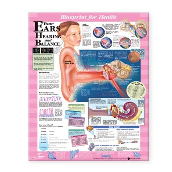 Wolters Kluwer Health Inc Blueprint for Health Your Ears 20x26" Anatomical Chart EA - 9781587797514