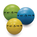 Smart Stability Ball, 75CM Blue 29-1/2 in Diameter