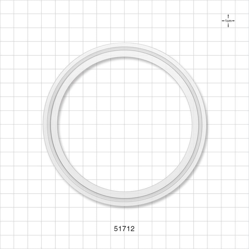 Sanitary Flange Gasket - 4 inch - 51712