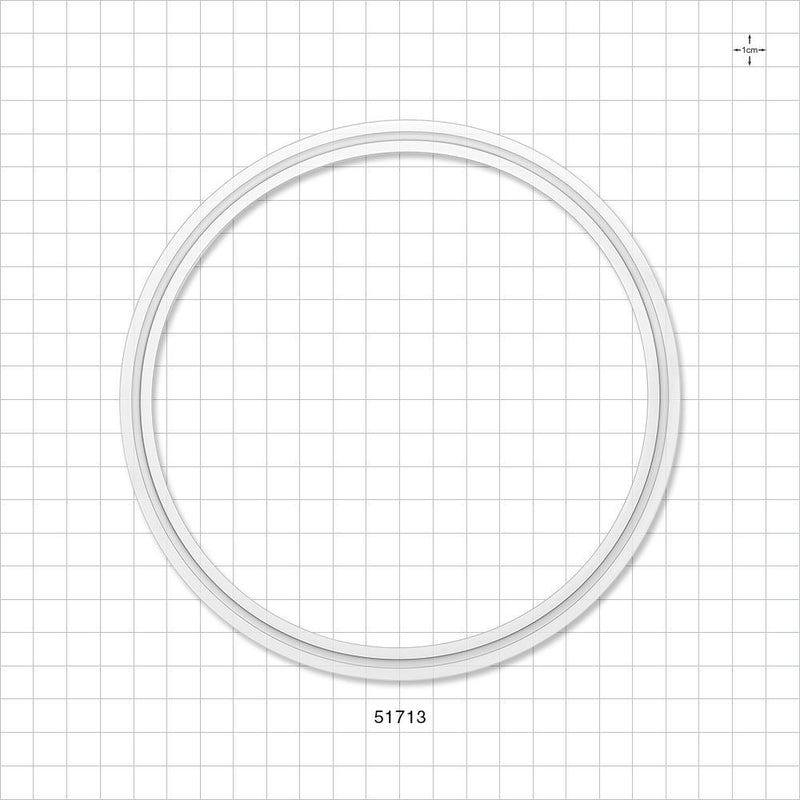 Sanitary Flange Gasket - 6 inch - 51713