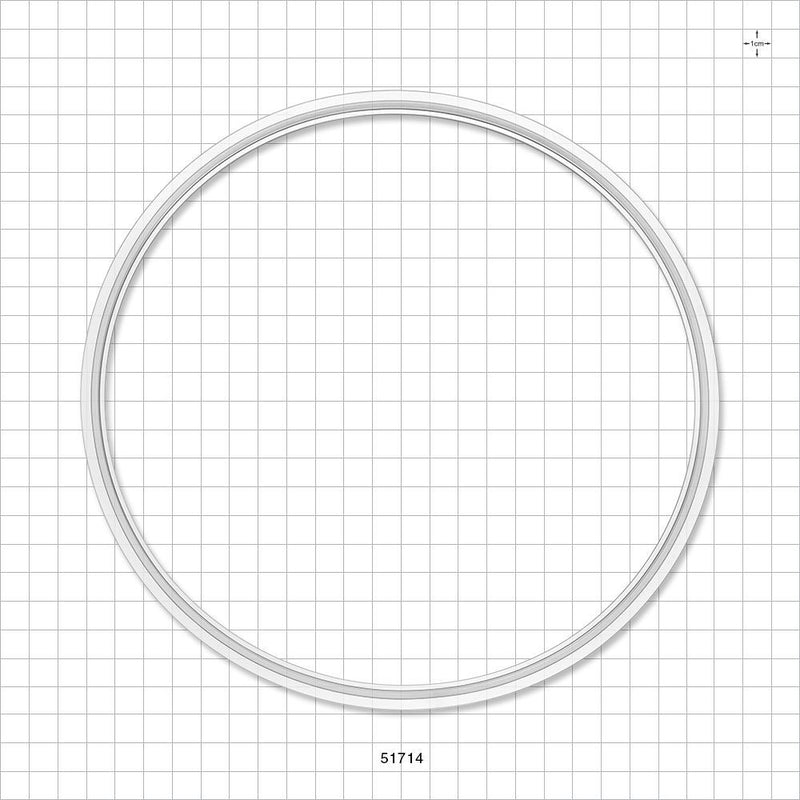 Sanitary Flange Gasket - 8 inch - 51714