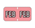 Barkley™ Compatible MBLM Color Code Label Month "Feb" 1 1/2" x 3/4" Pink Permanent - 500 per Roll | 59702590