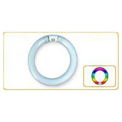 Dazor Lighting Solutions Bulb Fluorescent F/Lamp 8MC300 EA Each - FC8T9/CW