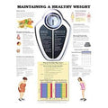 Wolters Kluwer Health Inc Maintaining a Healthy Weight 20x26" Educational Chart EA - 9781587794100