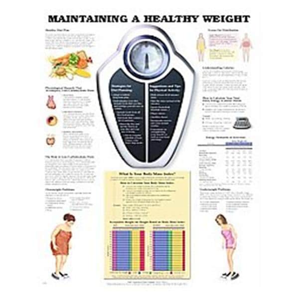 Wolters Kluwer Health Inc Maintaining a Healthy Weight 20x26" Educational Chart EA - 9781587794100