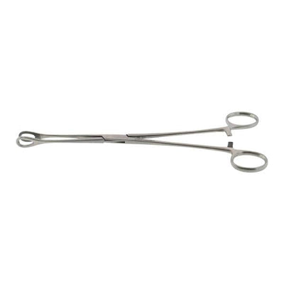 Hermann Medizentechnik Foerster Sponge Forcep Straight 9-1/2" Stainless Steel Autoclavable Ea - BR16-17025