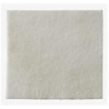 Coloplast Corp Biatain Cal Alg/CMC/Ionic Slvr Alginate Dressing 4x4 Strl Wht Hi Abs LF  - 3710