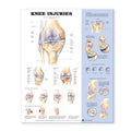 Wolters Kluwer Health Inc Knee Injuries 20x26" Anatomical Chart Ea - 9781587796968