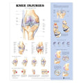 Wolters Kluwer Health Inc Knee Injuries 20x26" Anatomical Chart Ea - 9781587797576