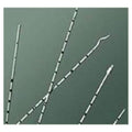 Bard Medical Division Urethral Catheter Whistle Tip Polyurethane 6Fr - 136406