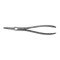 BR Surgical ASCH Septum Forcep BR46-57123