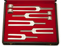 Graham Field Tuning Forks Set of all 5 Comes with cushioned vinyl zippered case ( Packaging - ST of 1 )