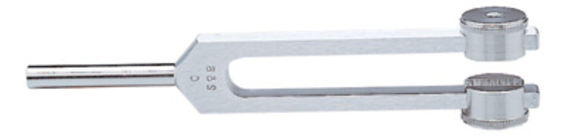 Graham Field C256 fixed weight, 6.5" (16.5 cm) ( Packaging - Each of 1 )