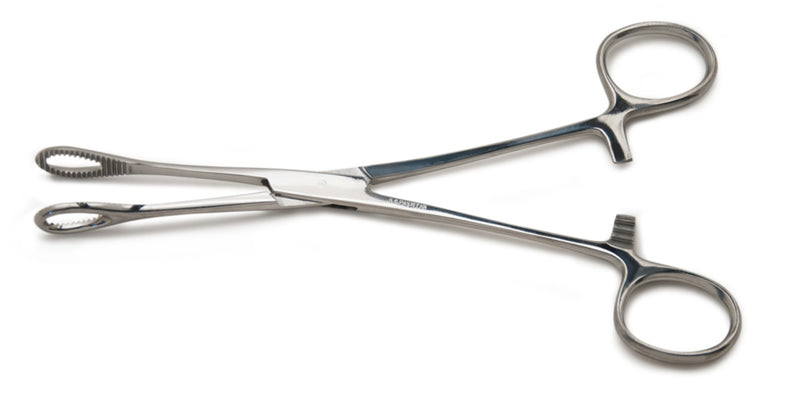 Graham Field Ballenger Sponge Forceps, Serrated ( Packaging - Each of 1 ) ( Description - Straight, 7" (17.8 cm)