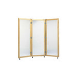 Adult Posture Mirrors (Packaging - Each)