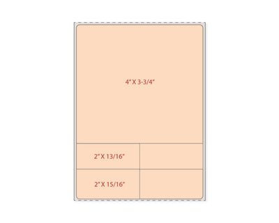 PDC Label Direct Thermal Paper Permanent 1" Core 4"x5 1/2" Orange 500 per Roll | LDWHP765