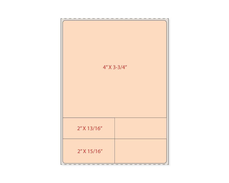 PDC Label Direct Thermal Paper Permanent 1" Core 4"x5 1/2" Orange 500 per Roll | LDWHP765