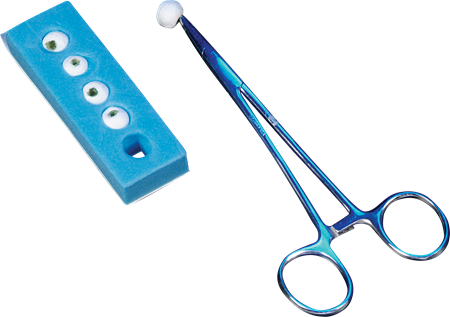 DEROYAL ROUND (HARD) DISSECTOR ⅜” in Foam Holder (PACKAGING - 5/PACK, 50 PACKS PER CASE)