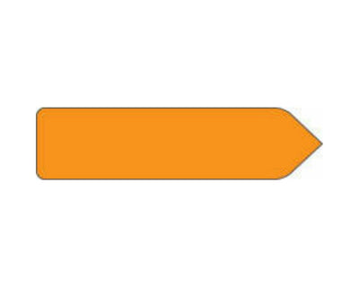 Spee-D-Point™ Flags & Tags Solid Orange Removable 9/16" x 2-1/4", 150 per Pack | SDP-15