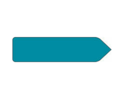 Spee-D-Point™ Flags & Tags Solid Turquoise Removable 9/16" x 2-1/4", 150 per Pack | SDP-20