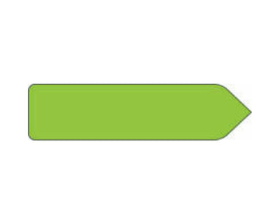 Spee-D-Point™ Flags & Tags Solid Fluorescent Green Removable 9/16" x 2-1/4", 150 per Pack | SDP-7