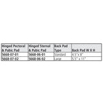 Spinal Anterior Extension (SAE) Hinged Pectoral Large
