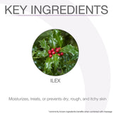 Bon Vital' Swedish Massage Lotion