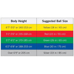 THERABAND PRO Series SCP Exercise Balls
