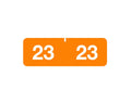 Ames® Compatible Color Code Label Year "23", 1-1/2" x 1/2", Orange, Mylar, 500 Per Roll | Y-AMR23