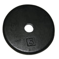 Iron Disc Weight Plate - 5 lb