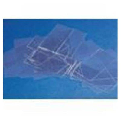 Raydenco Inc Microscope Slide Coverslip 22x22mm Square 100/Bx - 20405301