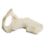 ORTHObones Standard Hemi Pelvis,m.,right