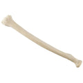 ORTHObones Standard Radius, right