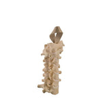 ORTHObones Standard Cervical Vertebrae