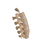 ORTHObones Standard Lumbar Spine