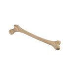 ORTHObones Standard Juvenile Femur, right