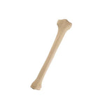 ORTHObones Standard Pediatric Tibia, right
