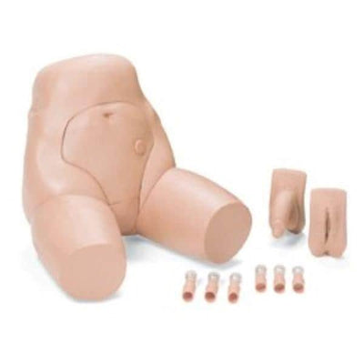 Laerdal Medical Corp Task Trainer Catheterization & Enema Male/Female Eachch - 375-21001