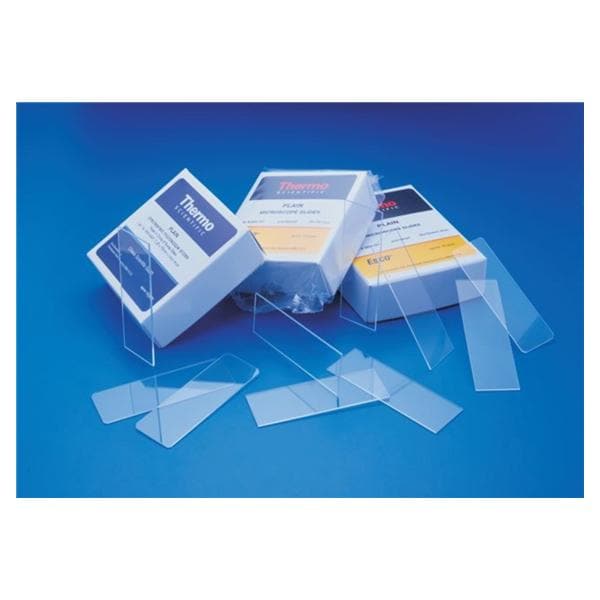 Fisher Scientific Co. Fisherbrand Economy Plain Microscope Slide 3x1" Clear With Grounded Edges 144/Bx - 125493