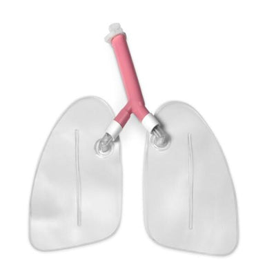 Nasco Healthcare, Inc Lung Kit Replacement Life/form Each - LF03605