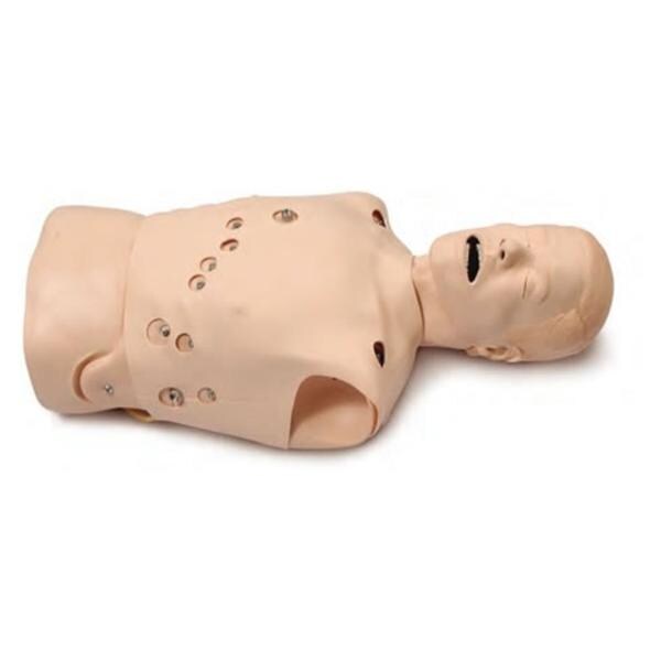 Laerdal Medical Corp Torso Trainer 12-Lead Task Adult Each - 260-20001