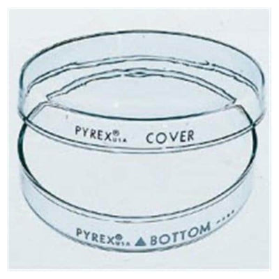 Corning Glass Works Pyrex Petri Dish 100x20mm 12/Pk - 08747D