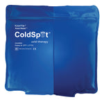 Relief Pak ColdSpot Blue Vinyl Pack - quarter size - 5" x 7" - Case of 12