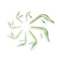 Ambu Inc Mask Laryngeal AuraOnce Child 30-50kg Size 3 Cuffed Green 10/Ca - 321300000U