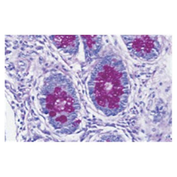Richard Alcian Blue Stain Kit Blue Each - Allan Scientific - 87023