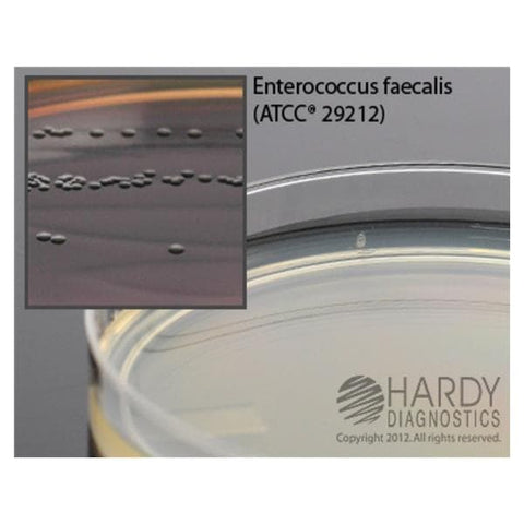 Hardy Diagnostics Bile Esculin Agar Culture Plate 10/Pk - G11