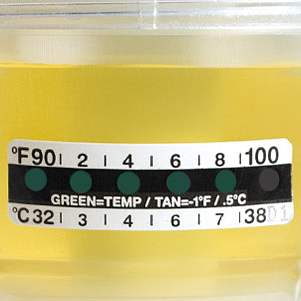 Globe Scientific Thermometer Strips, Graduated in both Fahrenheit (90-100°) and Celsius (32-38°)