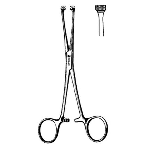 Sklar Instruments Forcep Tissue Allis 8" Straight 1x2 Teeth Stainless Steel Each - 36-2280