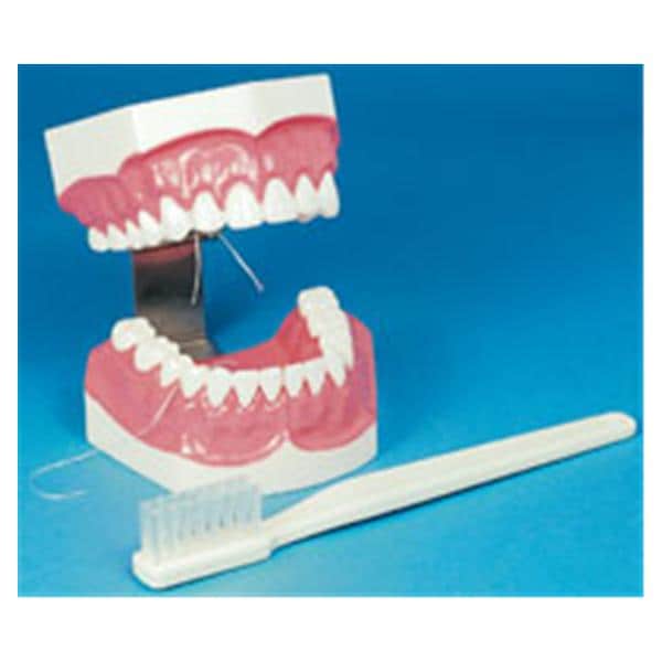 Hager Worldwide Inc Model Training Brush-n-Floss Toothbrush Eachch - 355637