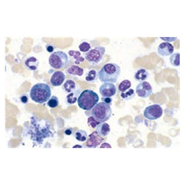 Richard Kwik-Diff Differential Stain Kit Reagents 1,2,3 500mL 1/Kt - Allan Scientific - 9990700